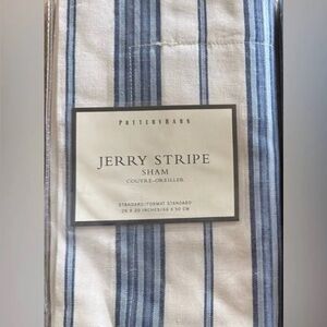 Pottery Barn Jerry Stripe Sham - Blue and White